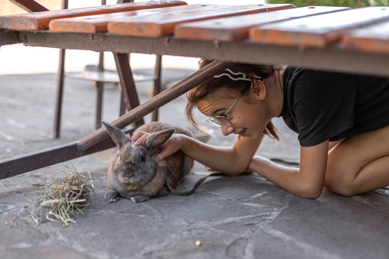 Schoolkids Help Save an Endangered Pygmy Possum