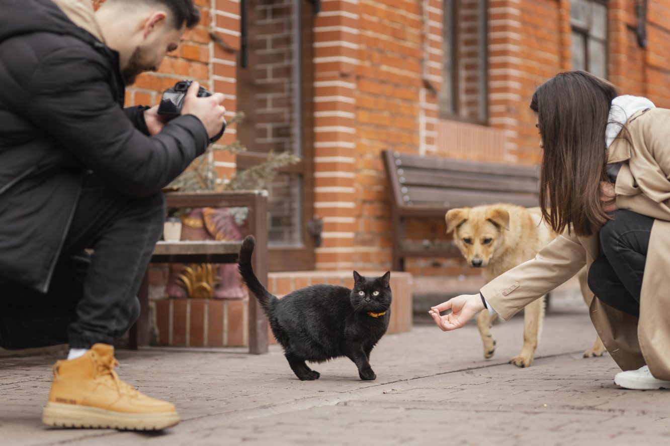 Shopkeeper’s Kitten Chaos Caught on Camera