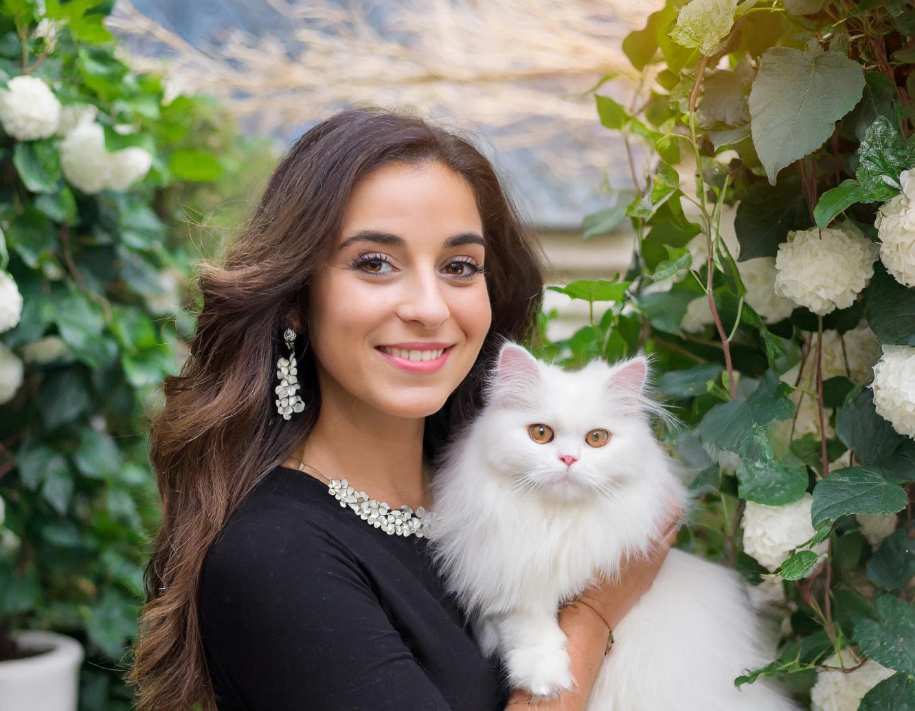 Texas Cat’s Quinceañera Goes Viral – And Saves a Rescue